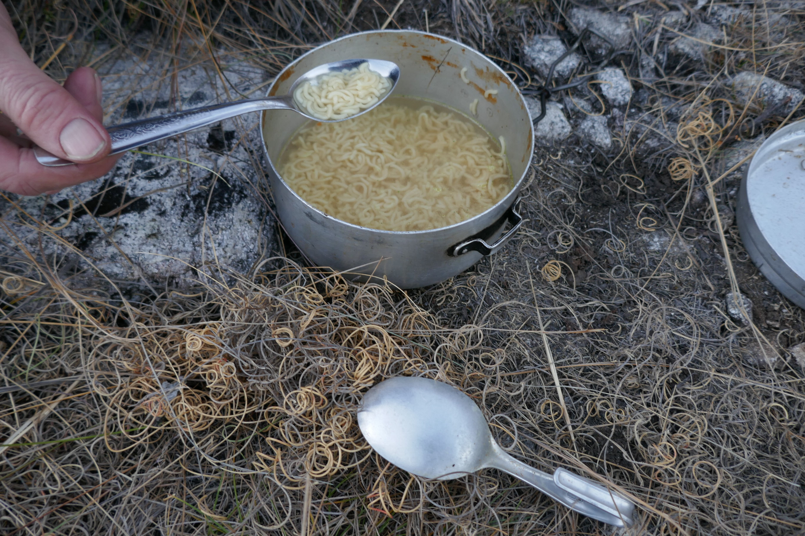 čínské nudle